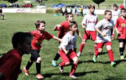 2016-06-26 E-Jugend-Turnier